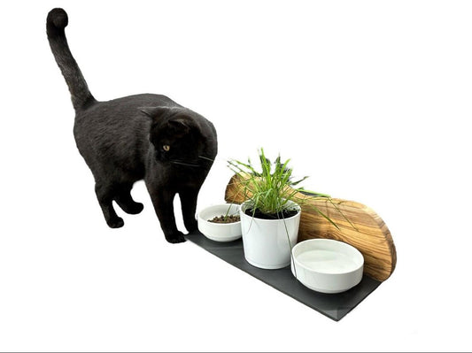 Katzen-Futterstation mit Olivenholz-Spritzschutz – inkl. 2 Porzellanschalen & Katzengras-Topf | Geschenk Haustier Futter